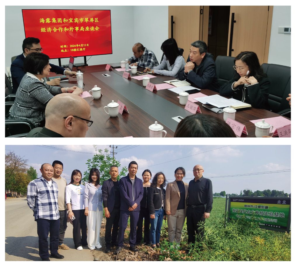 ���ι���|UB8���ι���|�������ý���