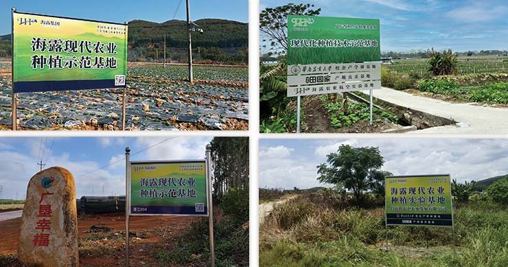 ���ι���|UB8���ι���|�������ý���