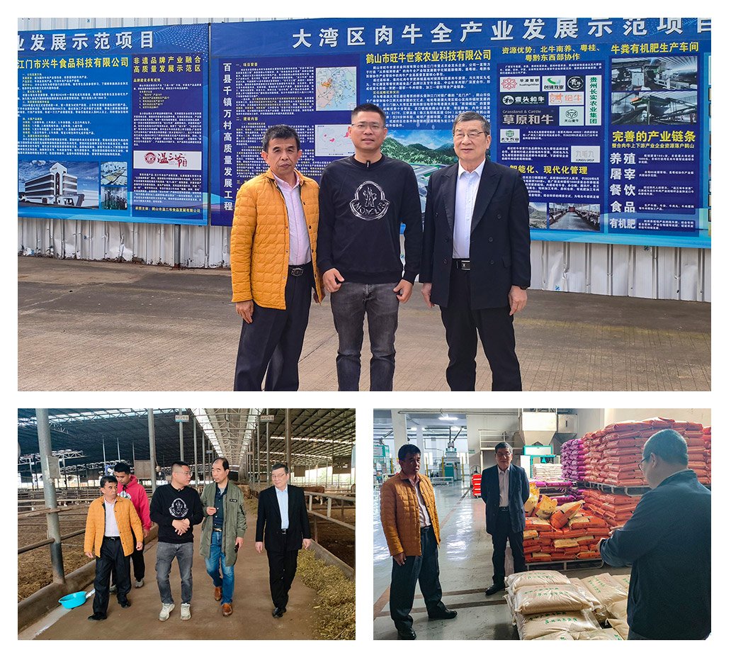 ���ι���|UB8���ι���|�������ý���