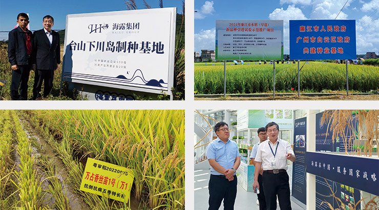 ���ι���|UB8���ι���|�������ý���