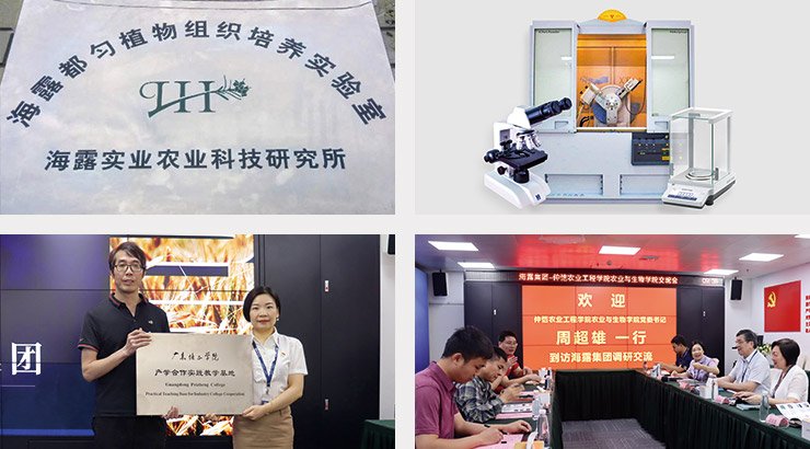 ���ι���|UB8���ι���|�������ý���