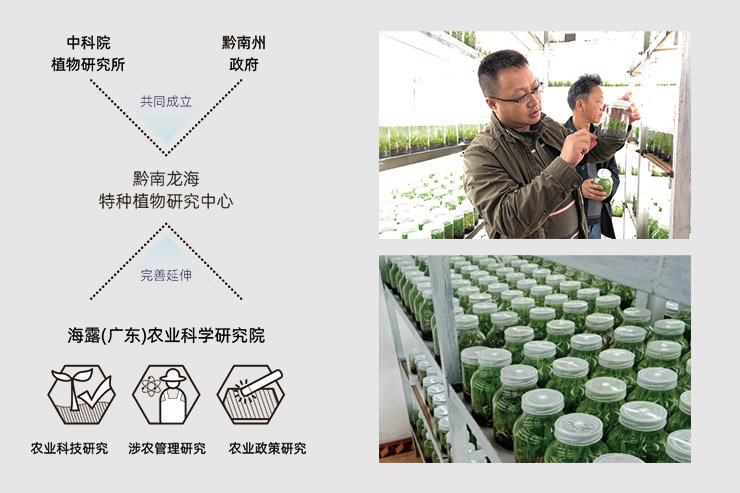 ���ι���|UB8���ι���|�������ý���