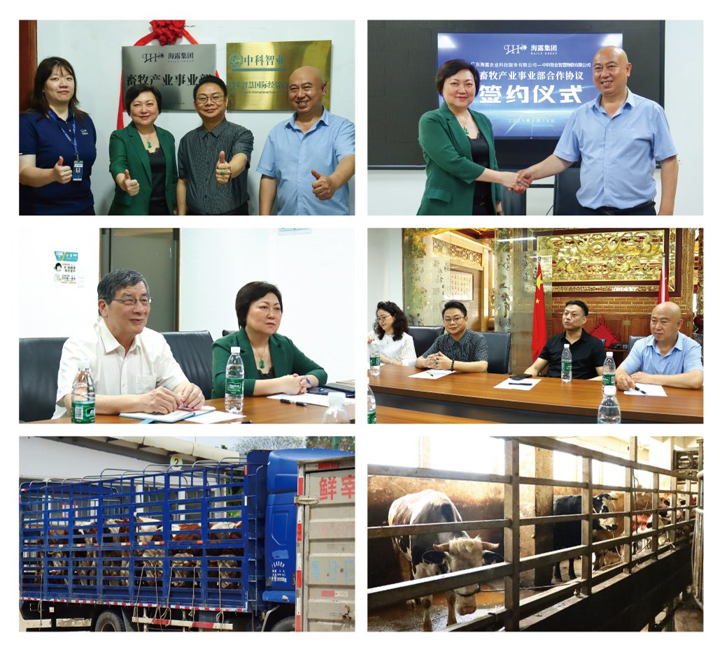 ���ι���|UB8���ι���|�������ý���