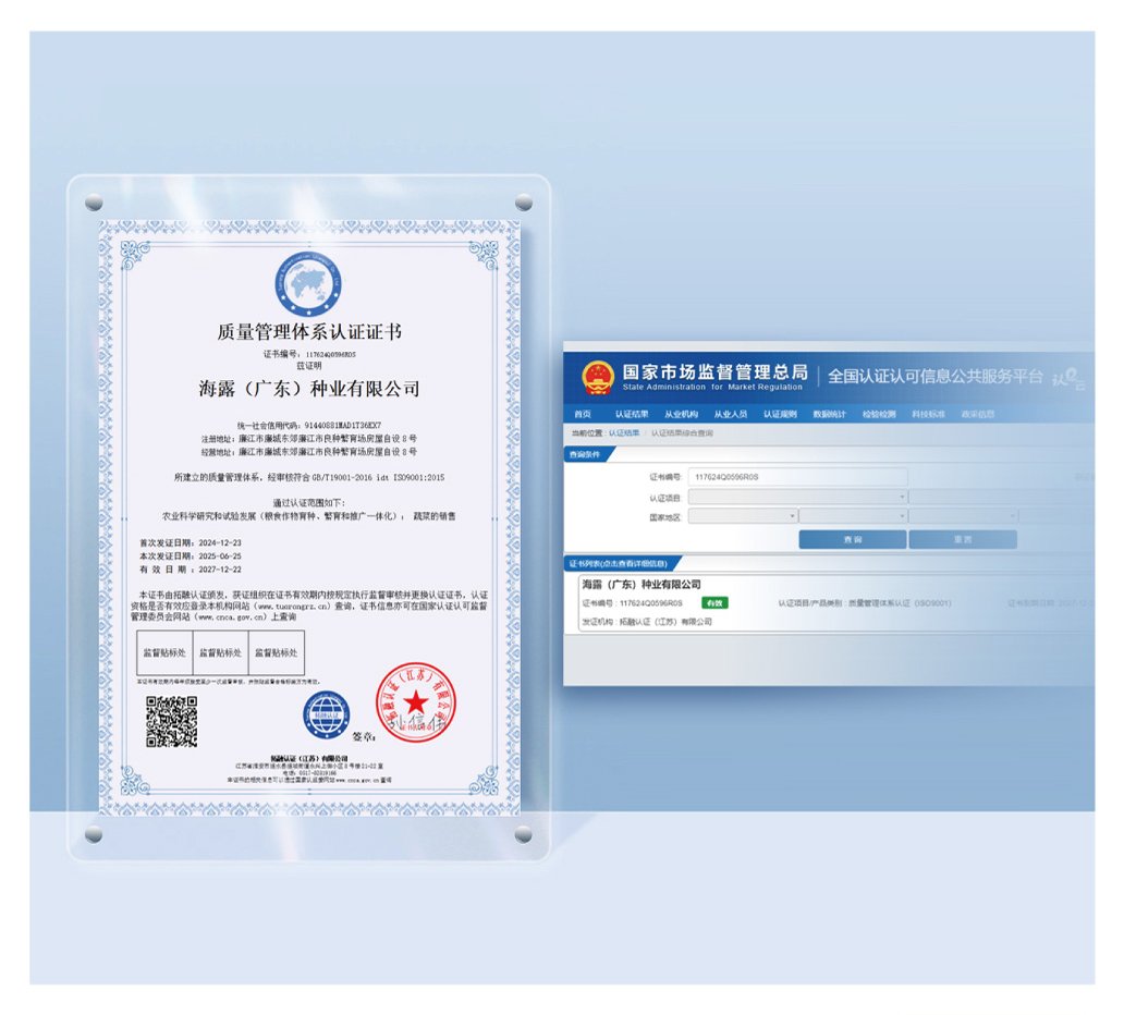 ���ι���|UB8���ι���|�������ý���