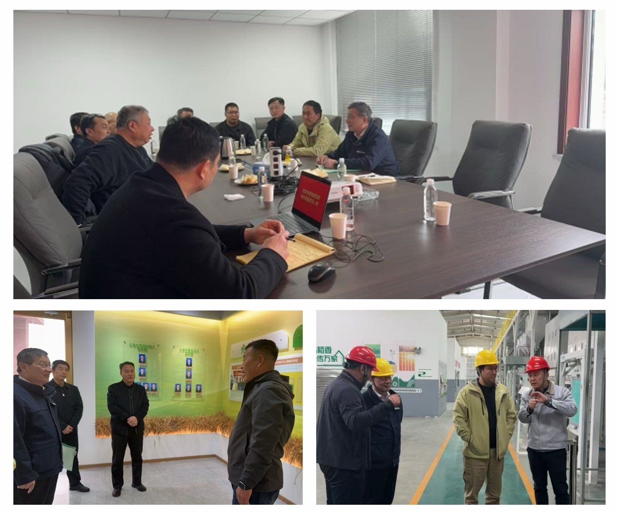 ���ι���|UB8���ι���|�������ý���