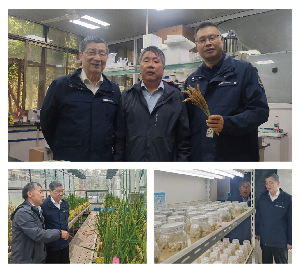 ���ι���|UB8���ι���|�������ý���