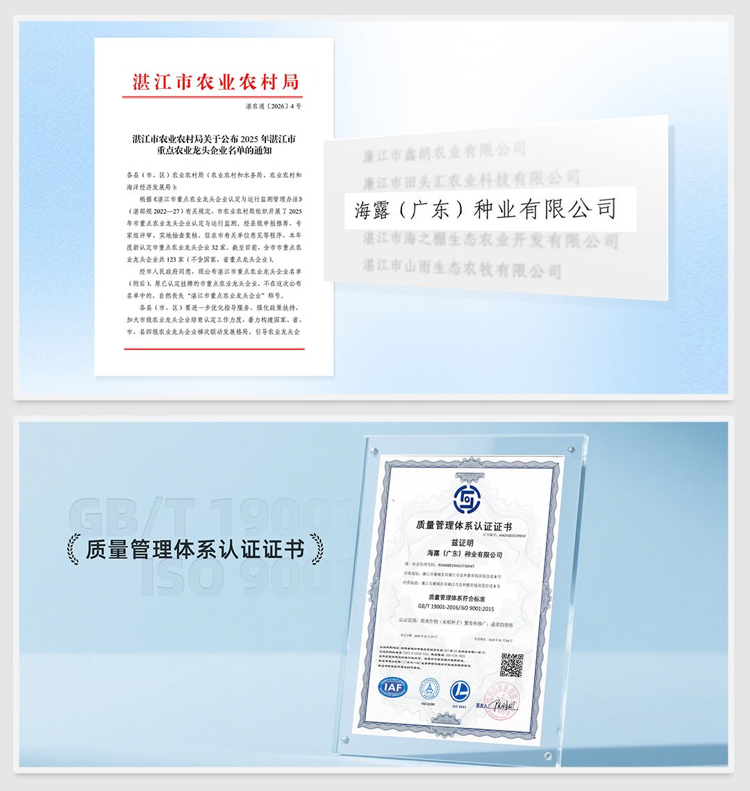 ���ι���|UB8���ι���|�������ý���